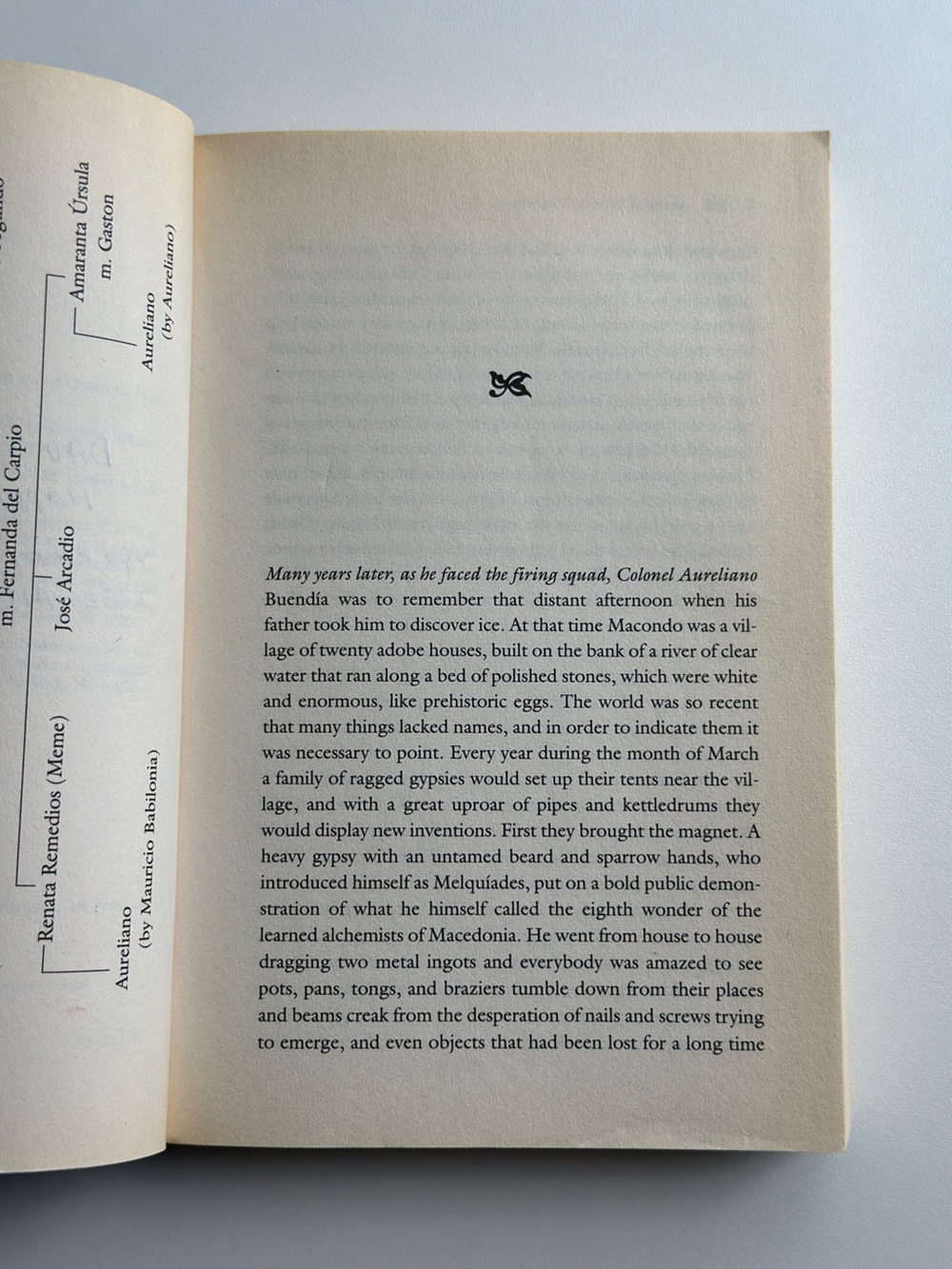 One Hundred Years of Solitude by Gabriel Garcia Marquez |Fiction| FREE W/ PURCH - Picture 12 of 12